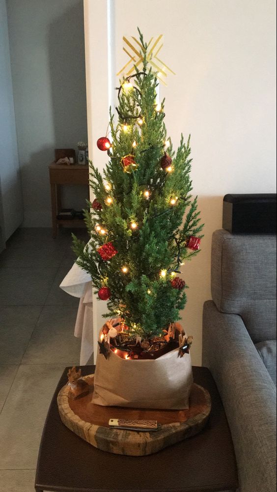 a small and pretty tabletop Christmas tree with lights and red ornaments is a cool idea for the holidays