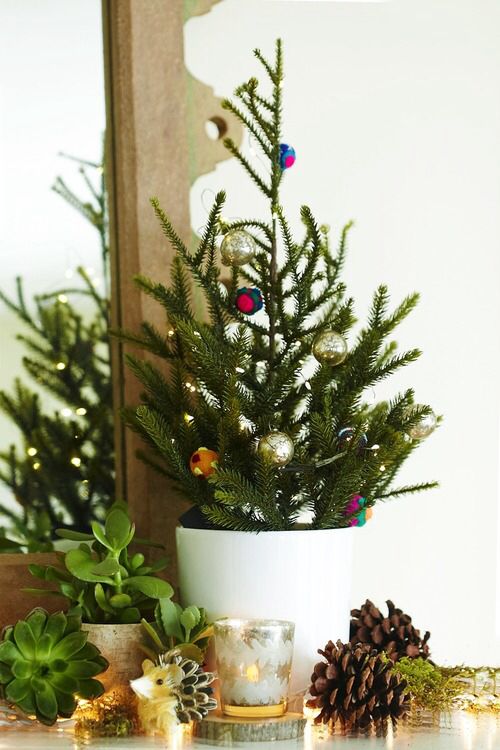 a small tabletop Christmas in a pot with colorful and metallic ornaments is a lovely decoration for the holidays