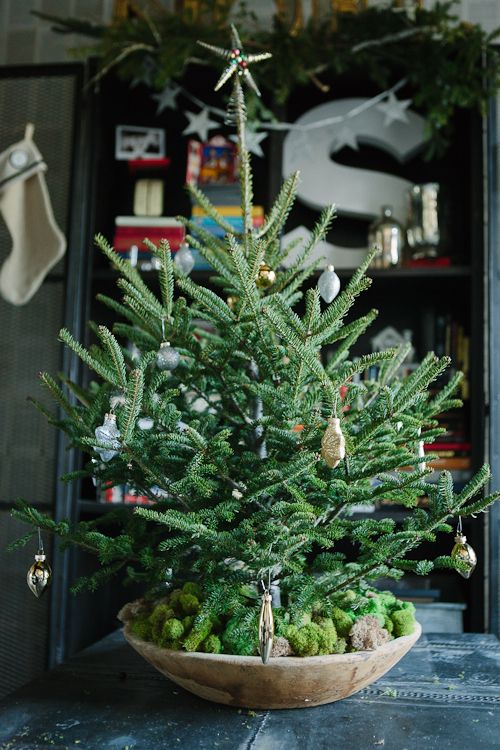 a tabletop Christmas tree decorated with metallic ornaments placed into a bowl with moss is cool