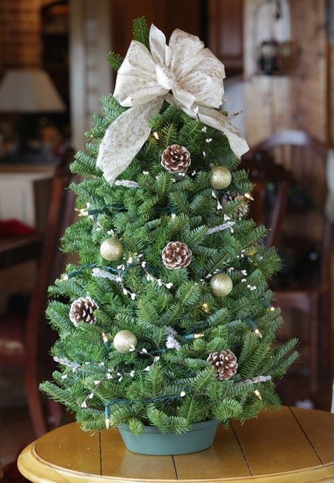 a tabletop Christmas tree with lights, gold glitter ornaments, snowy pinecones and a neutral bow on top