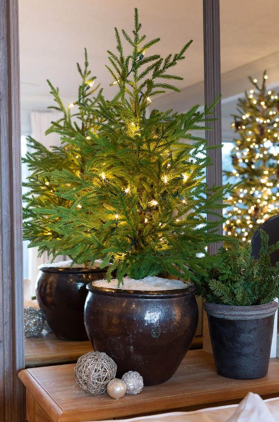 a tabletop Christmas tree with lights placed in a planter with faux snow is a cool idea
