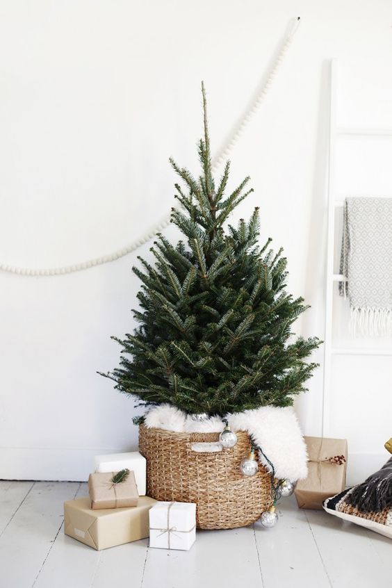 a small Christmas tree with no decor, in a basket with faux fur and vintage lights is a beautiful idea for a Nordic feel