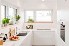 a minimalist U-shaped kitchen with built-in appliances, potted herbs and windows that bring in some light