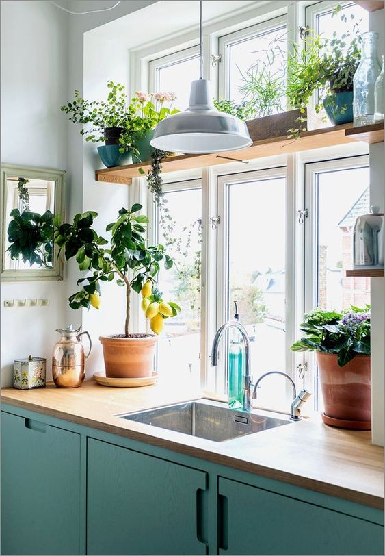 15 potted herbs and blooms, a potted lemon and plants will easily bring a spring feel to your space and make it cooler