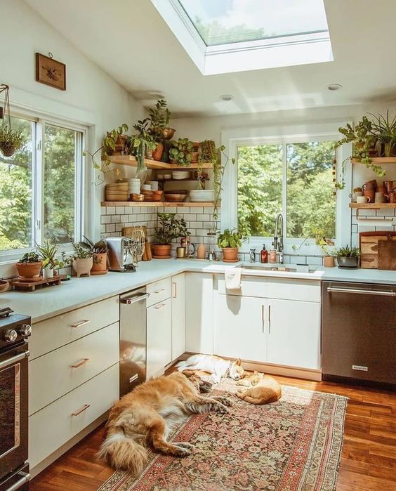 potted plants over the whole space make this boho kitchen fresh, spring and very lovely and refresh it a lot