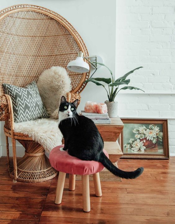 a peacock chair with faux fur and a pillow, a coral stool and a side table for a modern boho reading nook