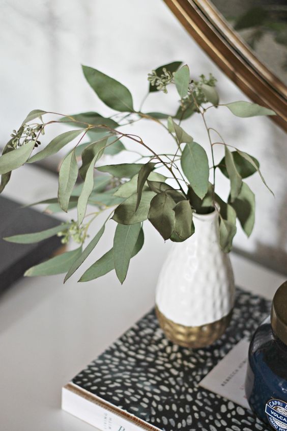 a color block vase with seeded eucalyptus is a lovely and simple modern decoration for spring, will work for any space