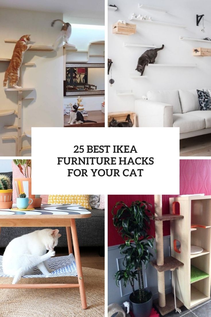 25 Best IKEA Furniture Hacks For Your Cat