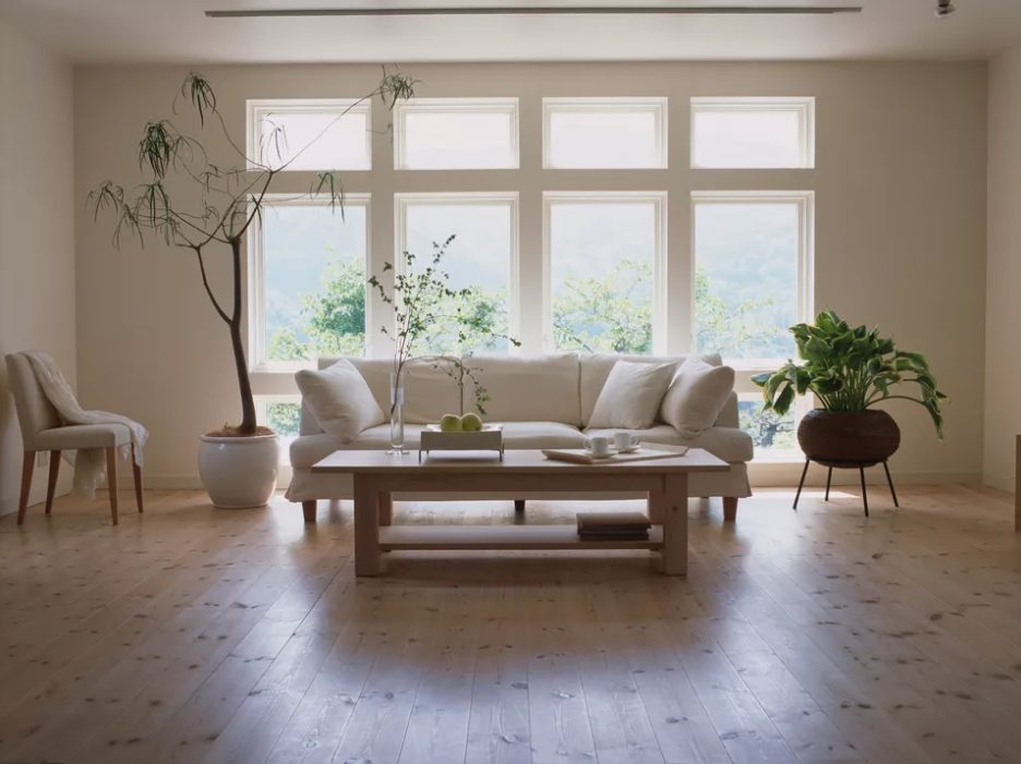 a stylish contemporary living room with several windows, a white sofa and chair, a wooden coffee table and statement plants plus laminate floors