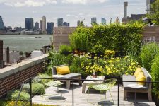 a cool and bright modern rooftop terrace with greenery and bright yellow blooms, stylish and simple furniture, bright pillows and bold neon chairs