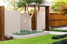 a gorgeous polished modern front yard with grass and succulents, with a tree and succulents by its side by the fence