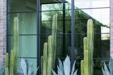 a modern front yard clad with stone tiles, with grass and cacti and succulents that line up the windows