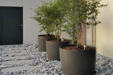 a modern front yard with rocks, tiles, oversized planters with trees is a very chic and bold idea for any home, it doesn’t require much maintenance