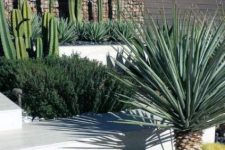 a stylish and catchy modern front yard with cacti, succulents and a agava is a bold and cool idea that will wow everyone