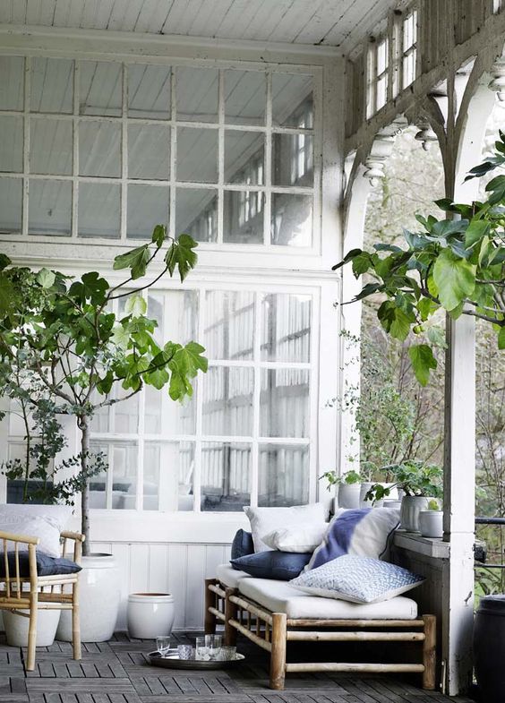 a Nordic patio with bamboo furniture and printed blue textiles, potted greenery and trees is a lovely and relaxed nook