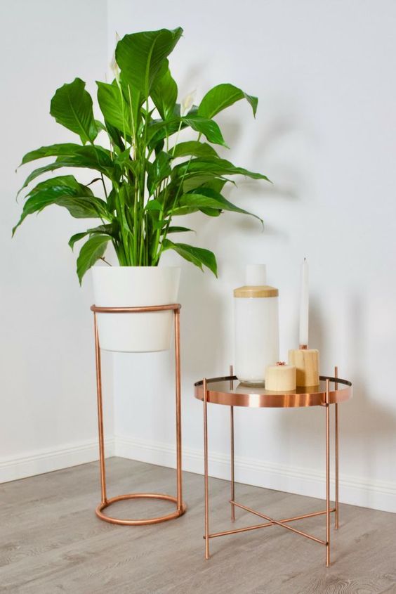 a copper round table with candles and a copper plant stand with a statement plant are great for styling a modern space