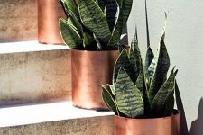 potted succulents in copper planters are lovely for accenting both an indoor and outdoor space