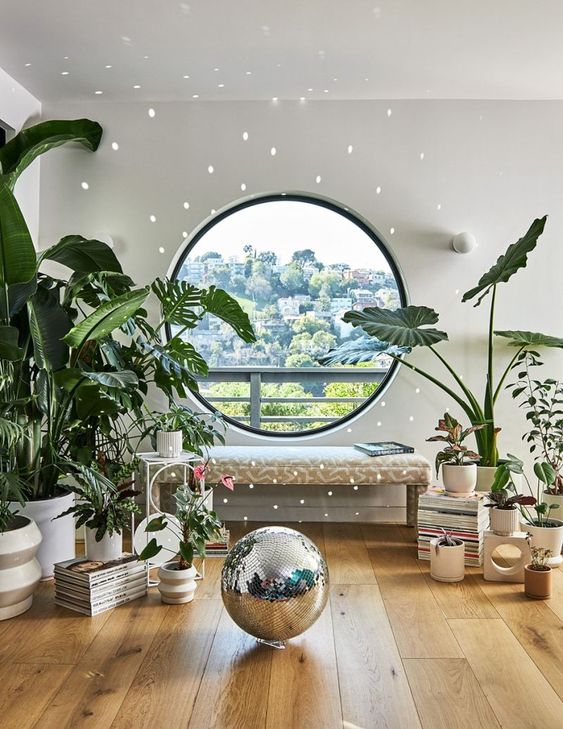 a bright and cool space with a round window with a view of the city, a bench, lots of potted plants and books and a disco ball