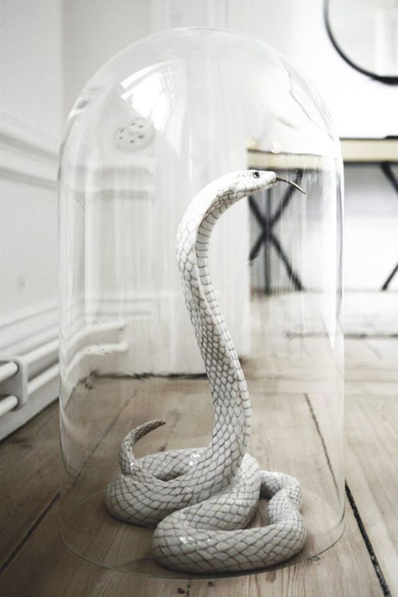 a white snake in a cloche is an elegant and scary Halloween decoration you can make yourself without much effort