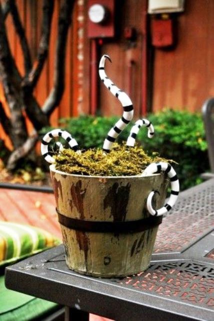 a wooden bucket with moss and black and white snakes from Nightmare Before Christmasfor Tim Burton fans