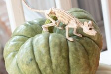 05 a green heirloom pumpkin with a mouse skeleton is a rustic and natural Halloween decoration you may rock