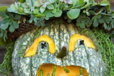 06 a green heirloom pumpkin with a scary face carved and a hat of succulents on top is a very creative and bold decoration for Halloween