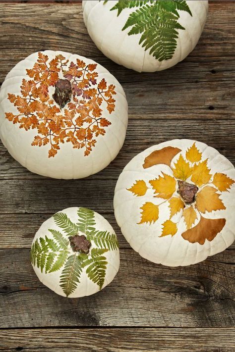 white pumpkins decorated with decoupage, with leaves in bold fall colors and in traditional greens are great for fall and Halloween