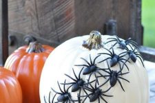 35 go for last minute pumpkin decor – black spiders attached to it, and you’ll get a cool Halloween decoration