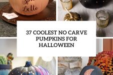 37 coolest no carve pumpkins for halloween cover