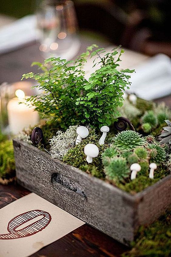 a forest Thanksgiving centerpiece of a wooden box, moss, mini mushrooms, greenery and succulents is a very creative idea