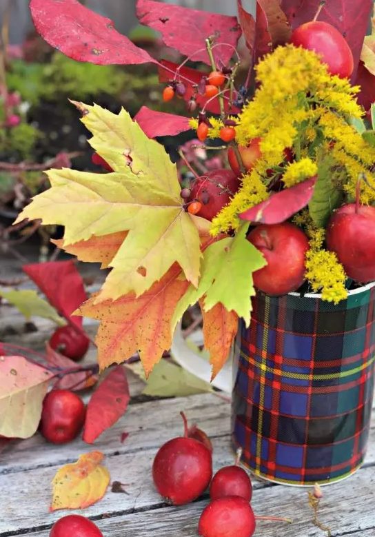 a lovely all-natural Thanksgiving centerpiece of a bold plaid vase, bold leaves, berries, apples and bold blooms is a very fresh and easy to realize idea