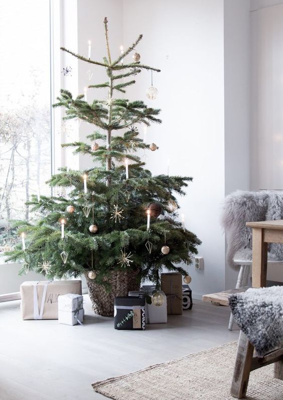a delicate modern Scandinavian Christmas tree in a basket, with a bit of gold ornaments and some candles is a chic idea to rock