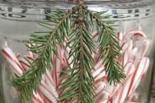 a jar with candy canes and evergreens is a cool Christmas decoration and is also a lovely treat for holidays