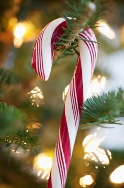 candy canes can be used as Christmas ornaments and they will look all natural and very traditional, fun and cool