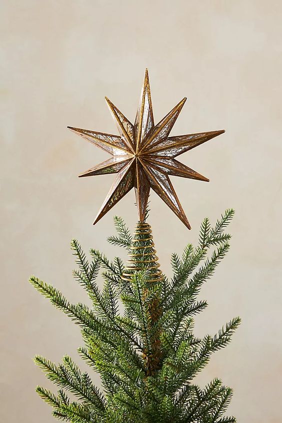 a classic dark metallic star tree topper is an ideal that always works for an elegant and chic Christmas tree