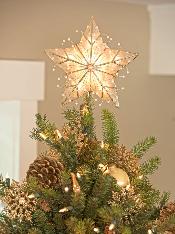 a gorgeous shining star Christmas tree topper with a bit of pearls is timeless classics that will add elegance to your tree