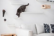 14 a chic contemporary cat walk made of IKEA ledges and some crates will make your kitties amused and will inspire their exercising