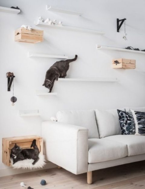 a chic contemporary cat walk made of IKEA ledges and some crates will make your kitties amused and will inspire their exercising