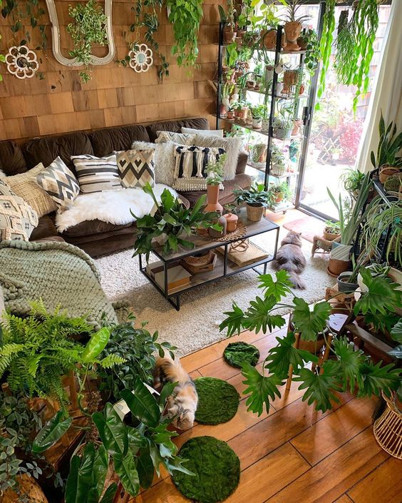 a beautiful biophilic living room with lots of potted plants all over looks like a whole jungle and invites in