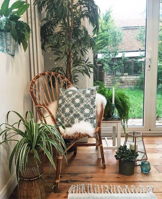 a pretty biophilic nook with a potted tree and various potted plants around just one rattan chair to turn this nook into a relaxing one