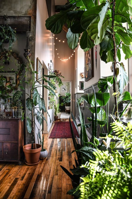 a lovely home jungle - a biophilic space with lots of potted plants all over it is a cool idea to rock