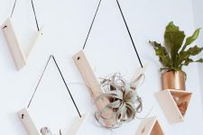 11 creative minimalist shelves with sleek triangular shapes and air plants will be a perfect wall garden