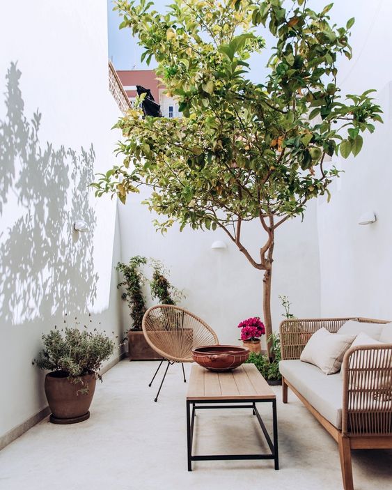 a small inner courtyard with a living tree and potted blooms and greenery, with a rattan daybed and a wooden coffee table is very welcoming
