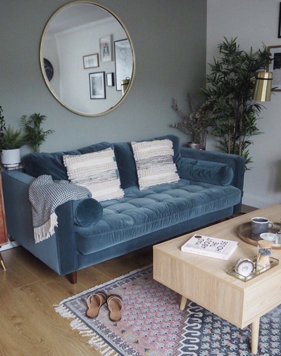 a delicate living room with a grey accent wall, a blue velvet sofa, a storage coffee table, a printed tug and neutral pillows, potted greenery