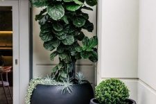 a duo of black planters – a large cauldron-shaped one and a curved planter with succulents, greenery and a large plant for a bold and cool look