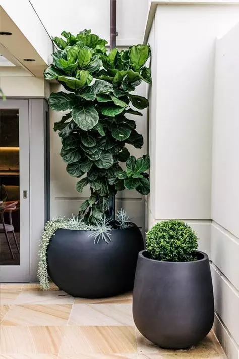 a duo of black planters - a large cauldron-shaped one and a curved planter with succulents, greenery and a large plant for a bold and cool look