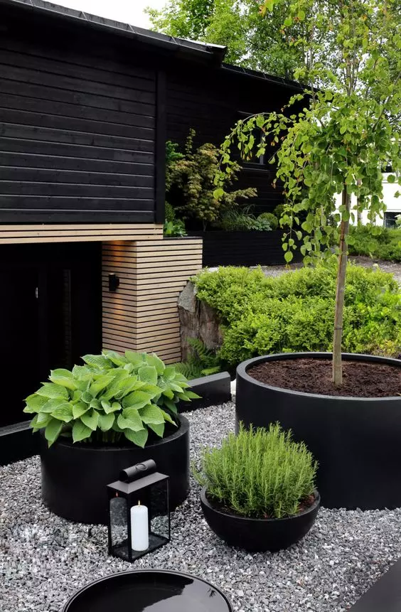 an arrangement of black planters   a small bowl, a round planter and a large round planter, with greenery and a tree for a Scandi or modern home