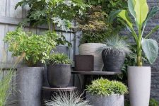 an arrangement of concrete planters in neutrals, grey and black, with square and curved pots, with greenery and various types of plants