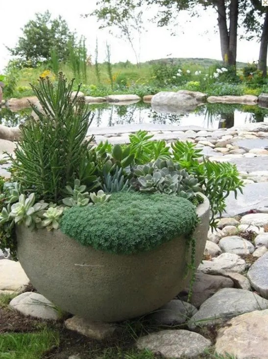 an oversized concrete bowl planter with succulents and greenery is a cool piece for a modern space