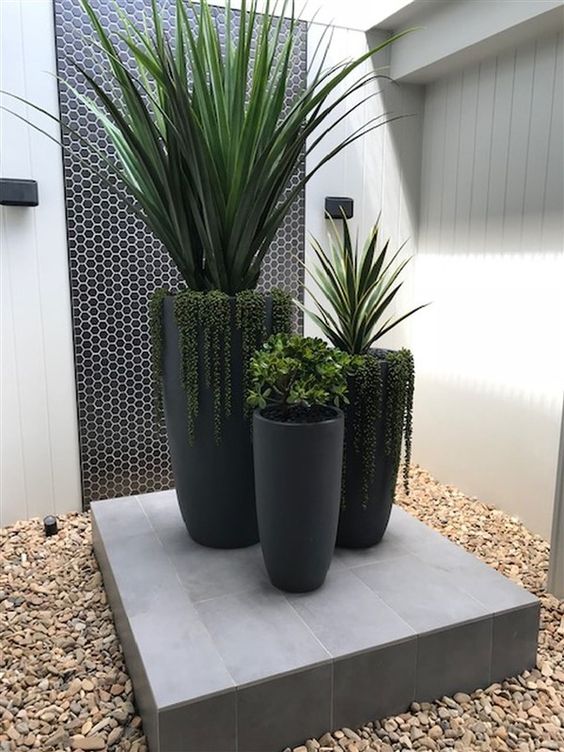 an oversized tall black planters with various types of green plants will make your outdoor space modern, elegant and will make a statement